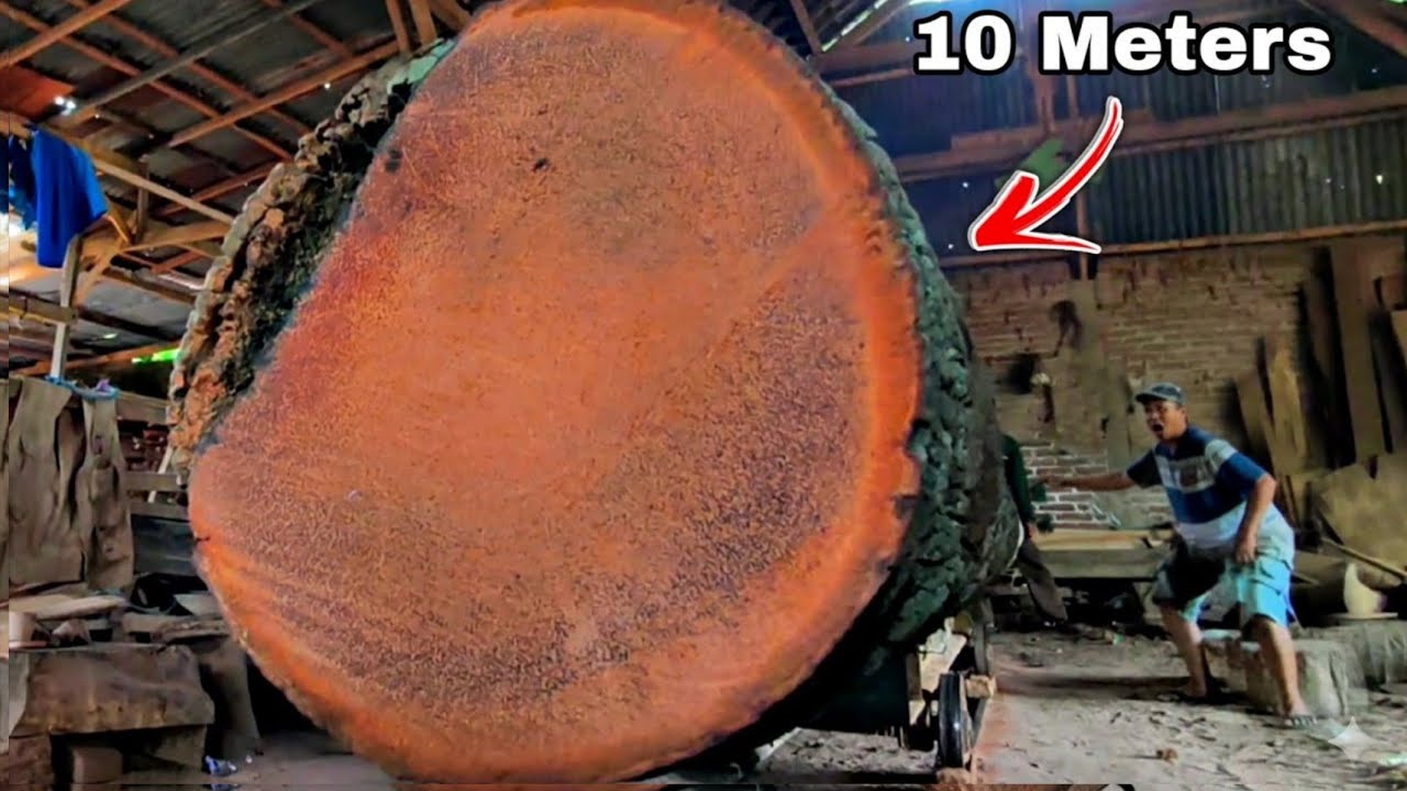 Processing a Massive 10 - meter Coconut log (sawmill work)