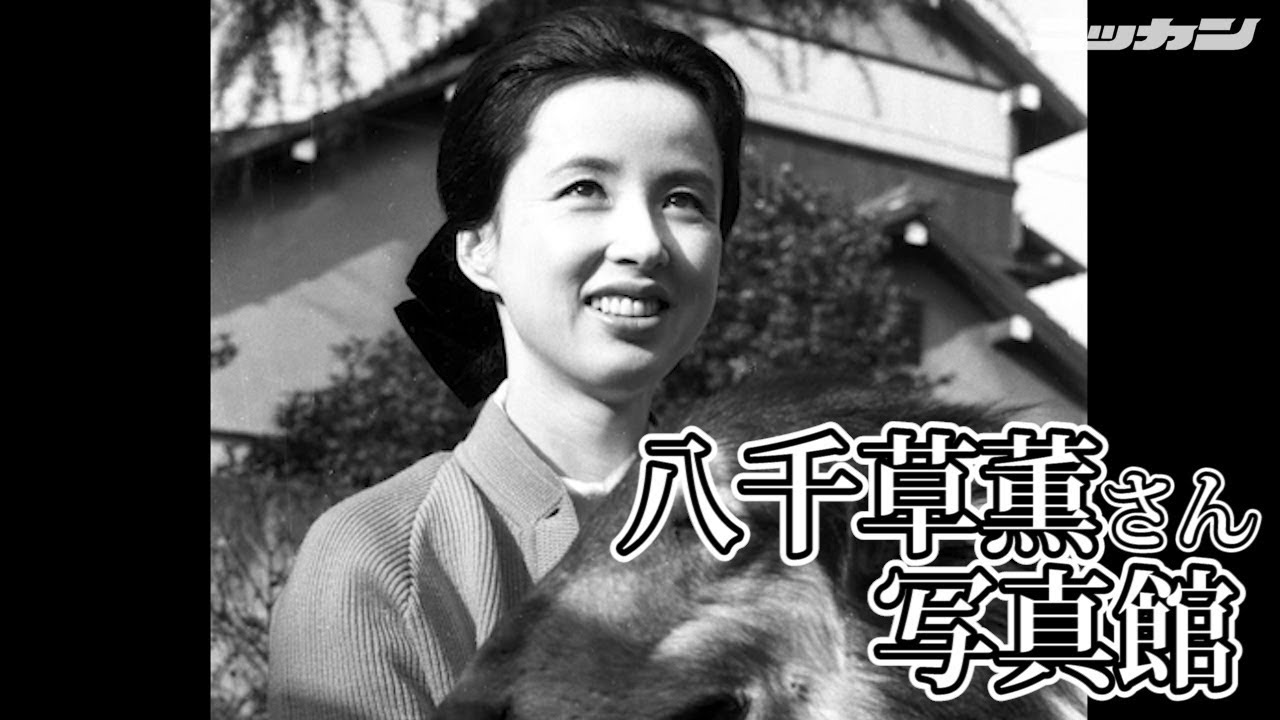 八千草薫さん死の前日「また明日」とあいさつも急変　写真館動画※敬称略【日刊スポーツ】