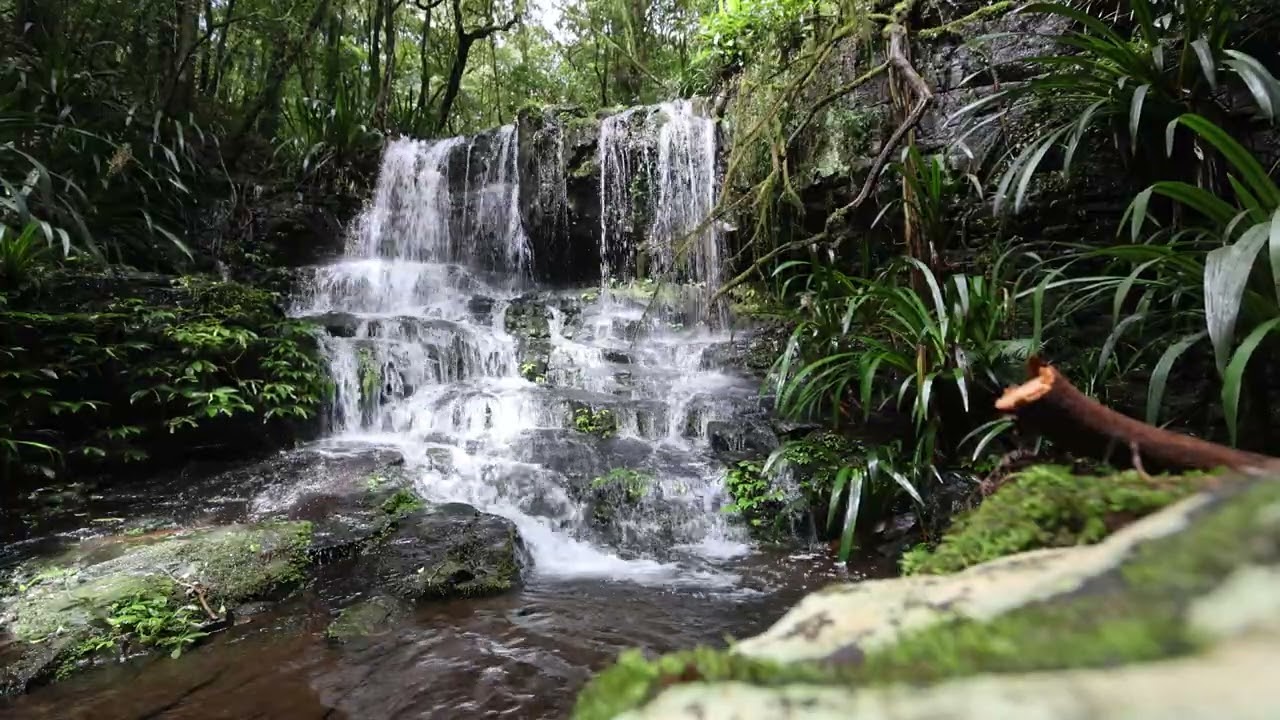 Toolona Creek Waterfall - 4k slow tv 10 minute timeout