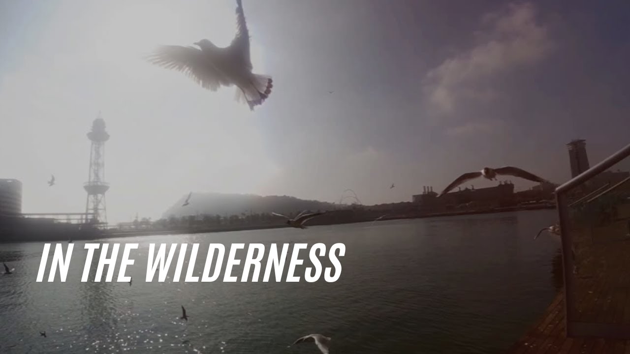 IN THE WILDERNESS
