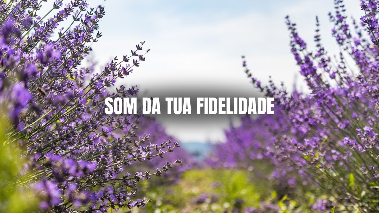 Som da Tua Fidelidade | Louvor Suave Que Renova a Fé e Acalma a Alma