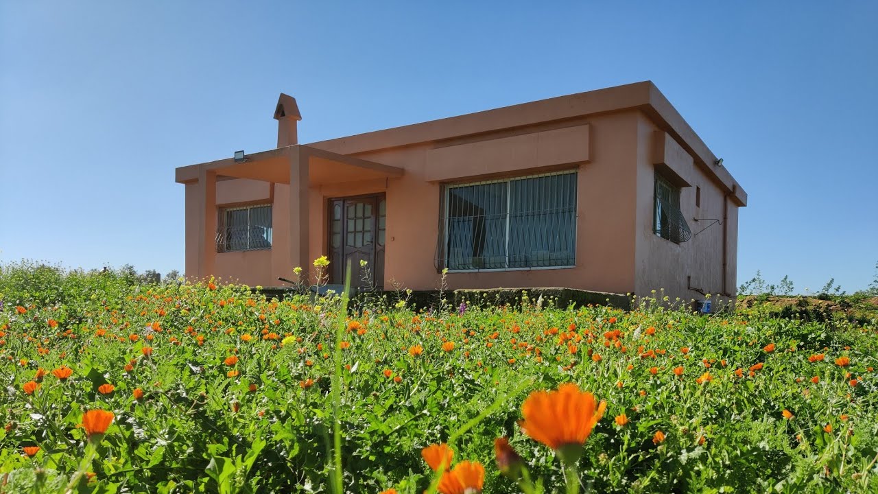 دار 🏡 للبيع في البادية مبنية بالرخصة فيها البئر والأشجار 🌲 باولاد حمدان إقليم الجديدة 