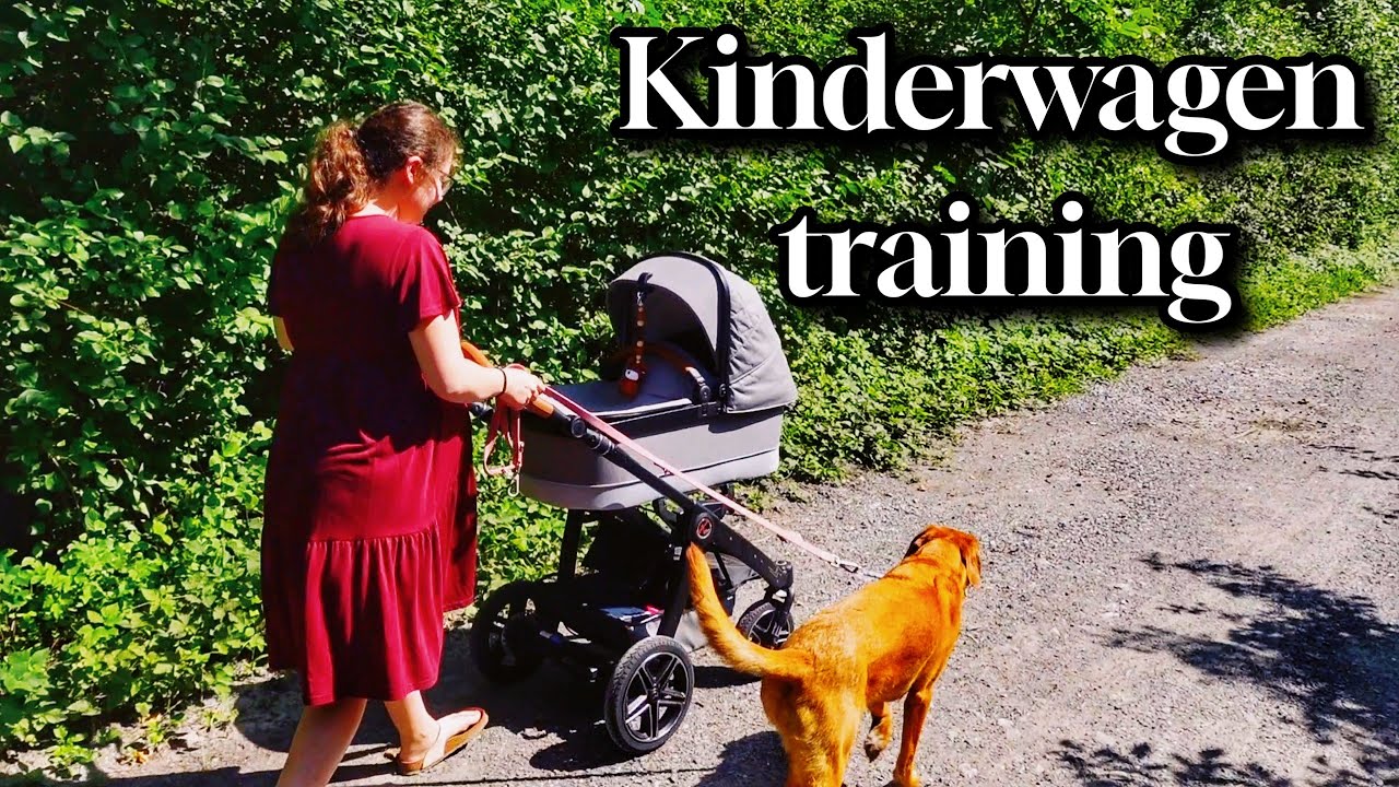 Kinderwagen-Training mit Hund | So klappt das entspannte Spazierengehen