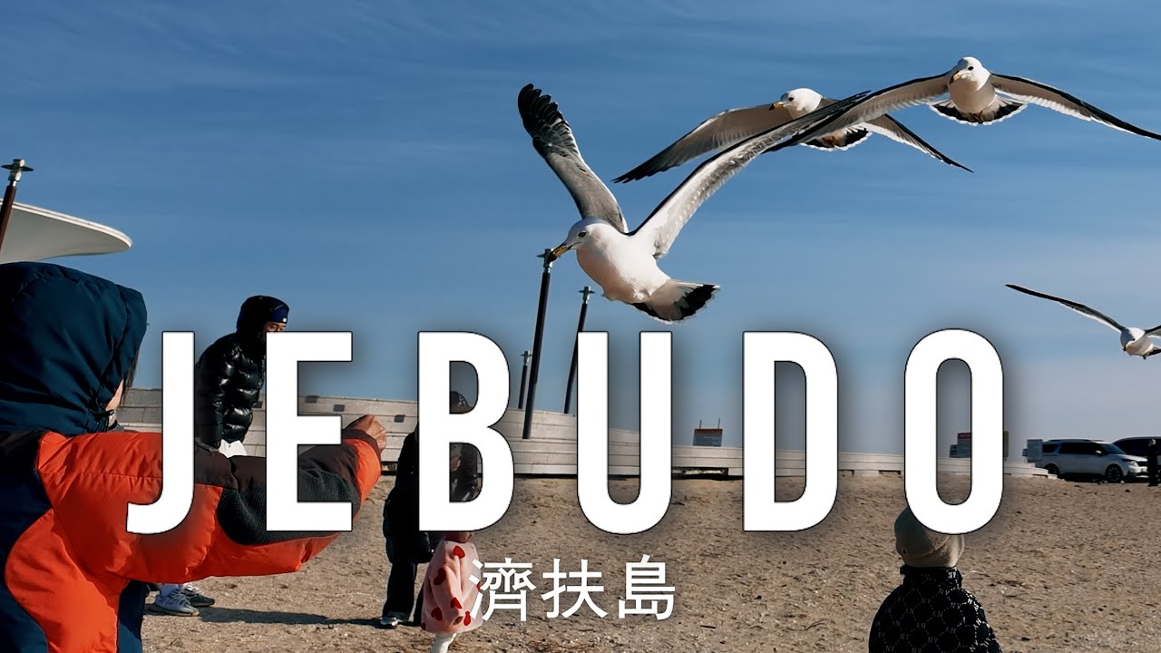 A Quiet Meal by the Sea | Jebudo Island, Korea