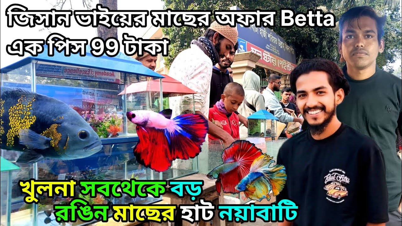 Khulna colorful fish market Nayabati aquarium fish price ni Bangladesh colorful fish shop #aquari...