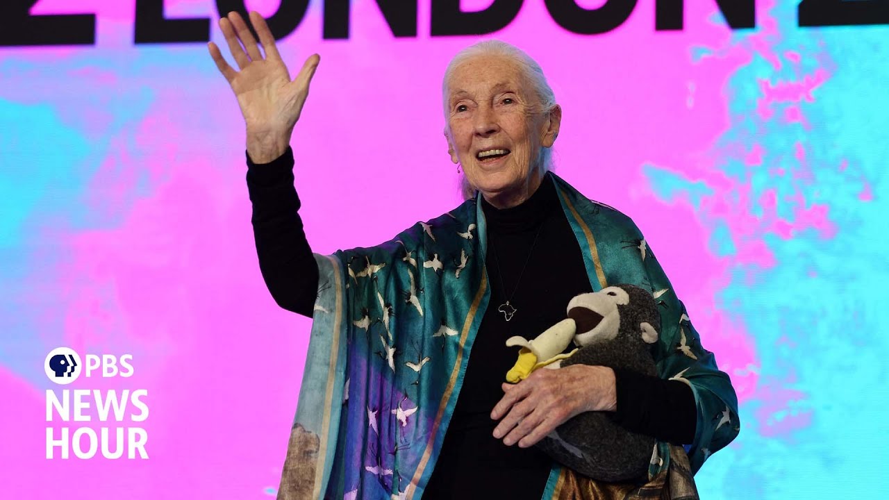 Remembering Jane Goodall and how she changed the way people see animals