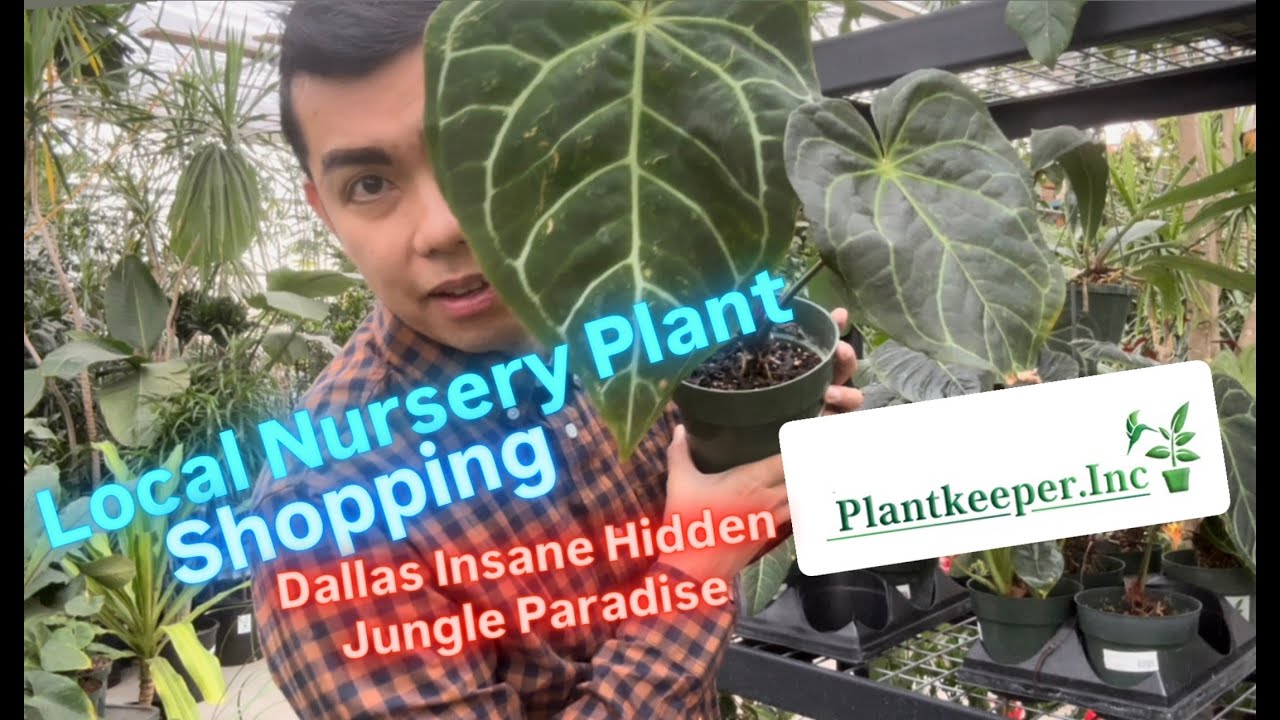 Dallas' Most Impressive Local Plant Nursery Plant Keeper Inc Plant Shopping