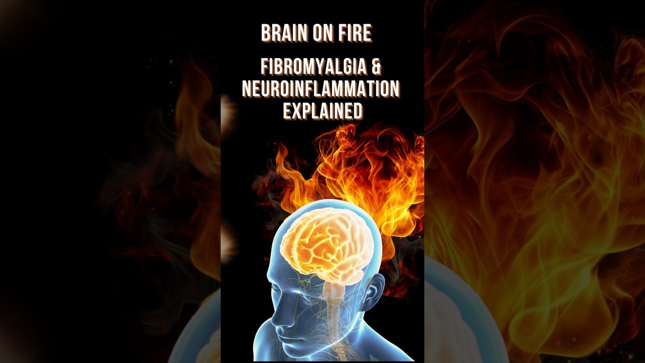 Shocking New Fibromyalgia Research  - A Brain on Fire!    #fibromyalgia #fibrowarrior #fibromyalgie