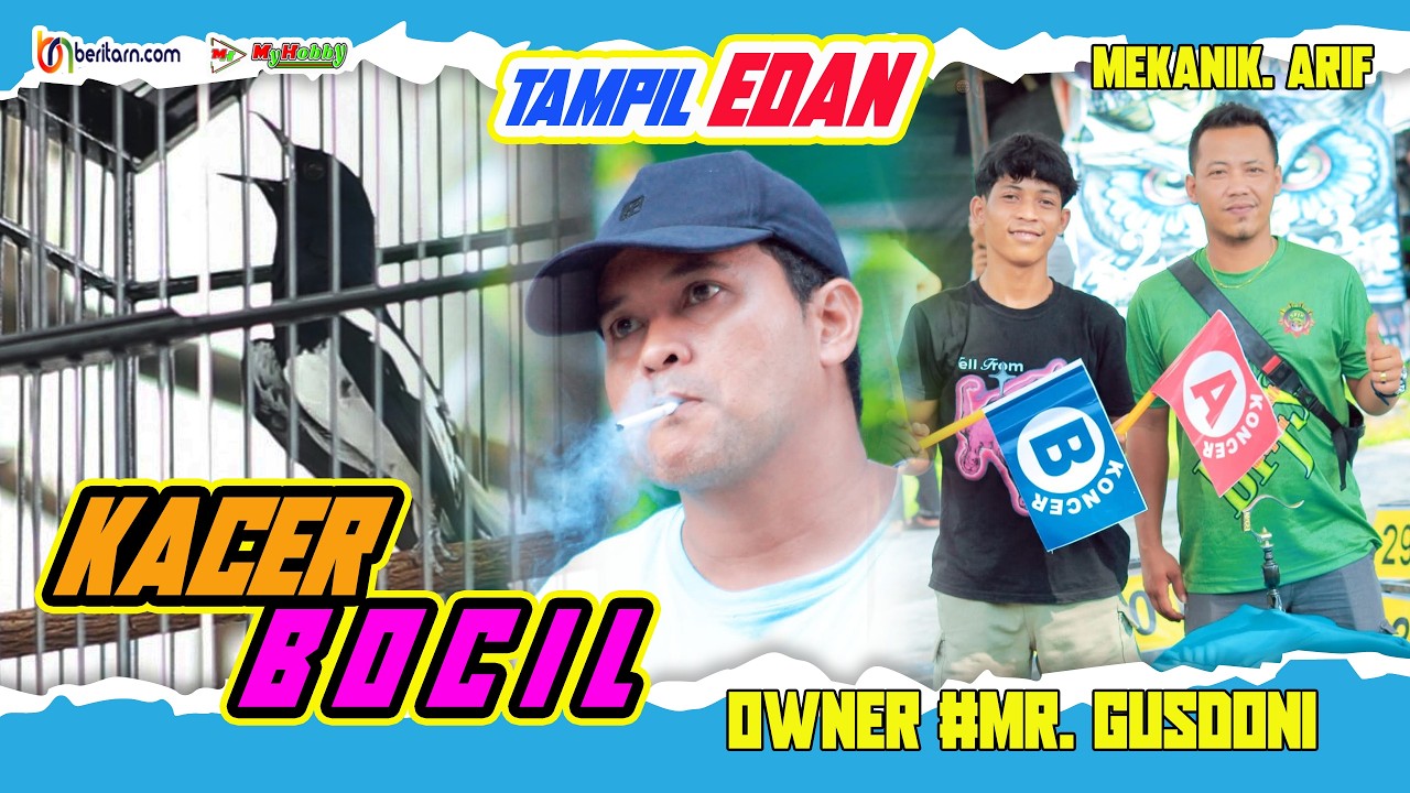 KACER BOCIL ❗ TAMPIL EDAN, JUARA 2 DIKELAS UTAMA LOSSGAN ❗ SPESIAL NGABUBURIT ORIQ JAYA