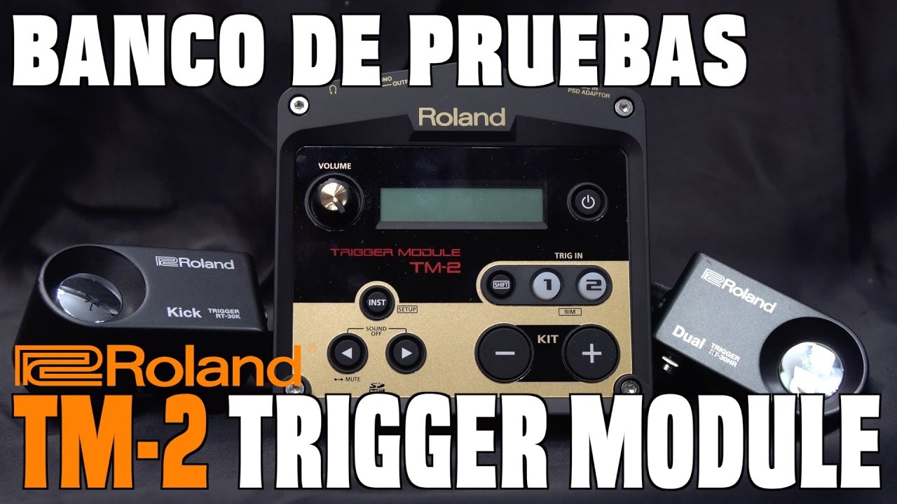 Roland Tm-2 Trigger Module - Banco de Pruebas