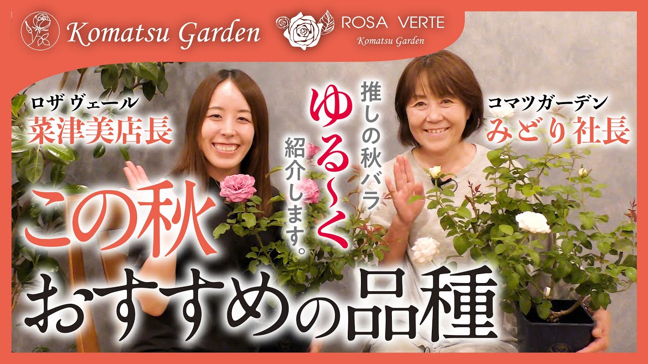 【バラの品種紹介】この秋おすすめの品種紹介