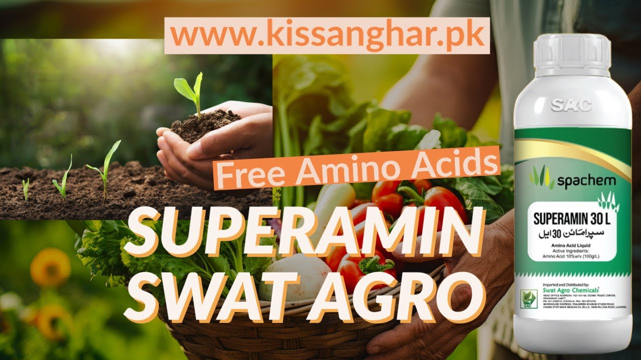 Superamin Swat Agro Spachem Spain Free Aminoacids | Superamin Review Benefits and usages Kissan Ghar
