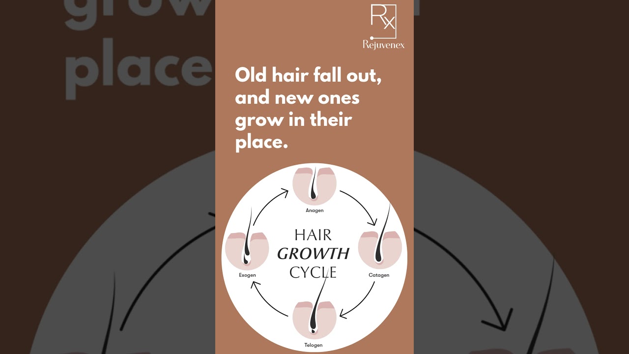 Is Hair Shedding Normal? Here&rsquo;s What You Need to Know