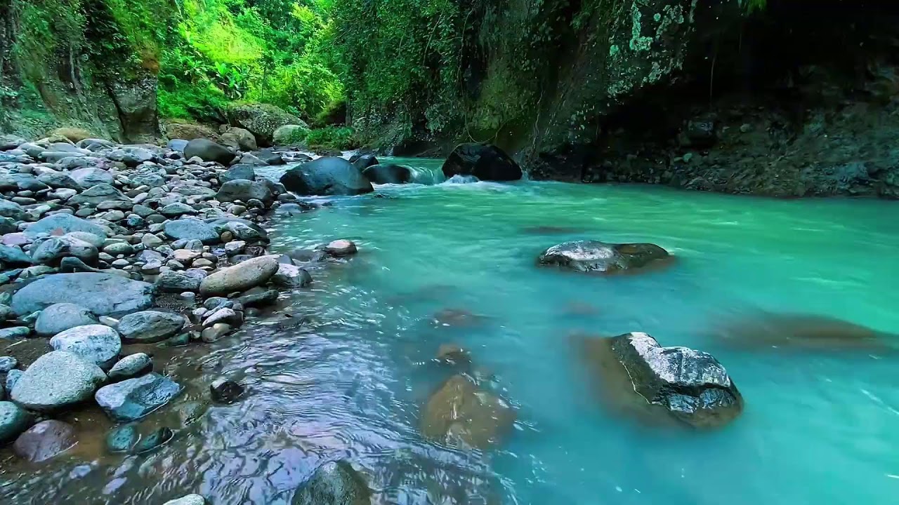 Mountain Stream Calm Night Flow, Forest River Sounds, Sleeping