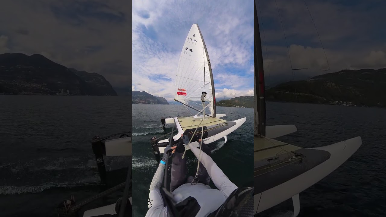 A Class Cat Foiling - Reaching with a friend (Short)