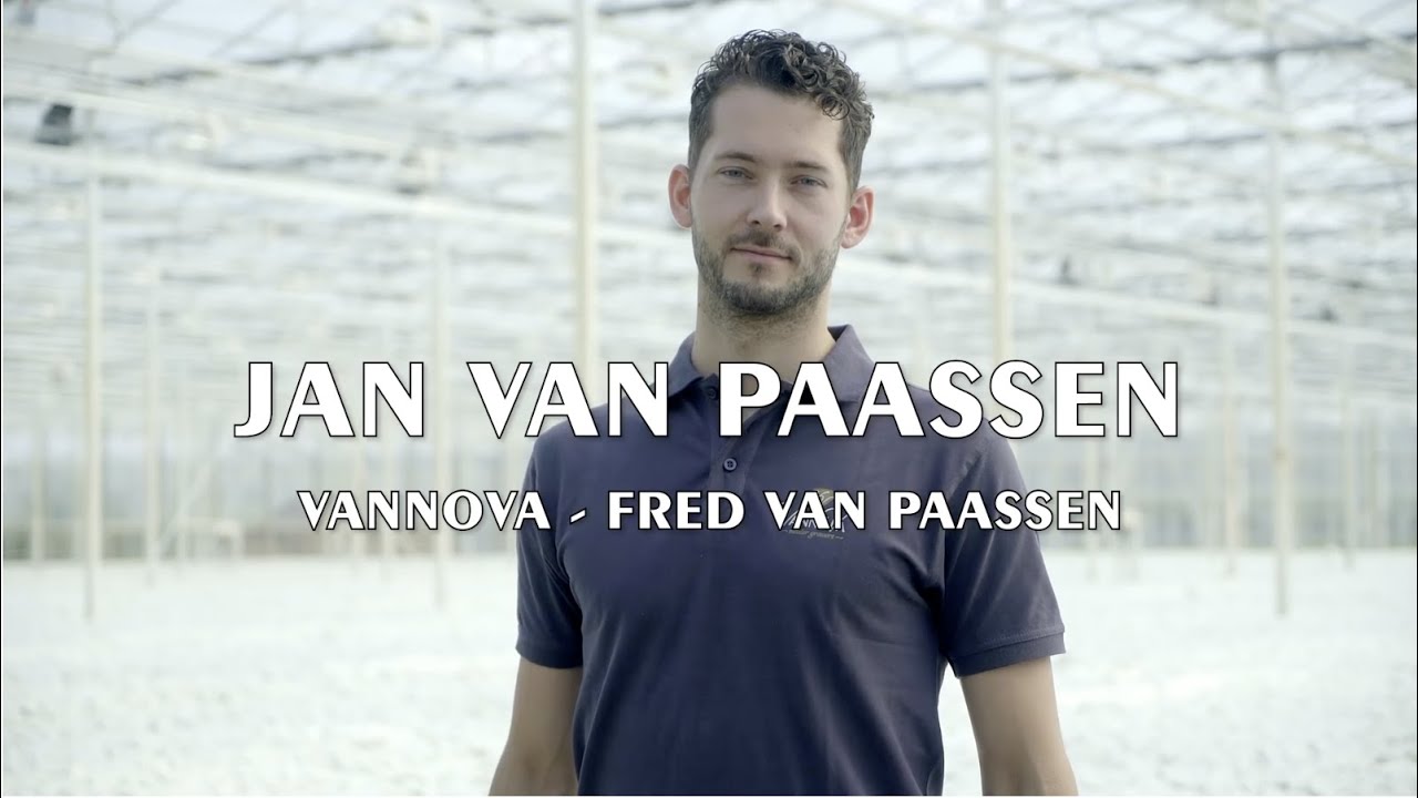 VannoVa Master Growers | Meet the growers of Fred van Paassen Chrysanten