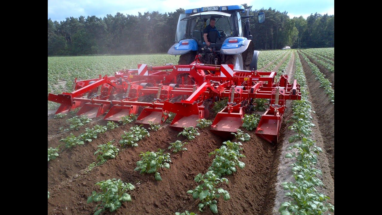 GRIMME GH 6 Eco | Ridging Hiller