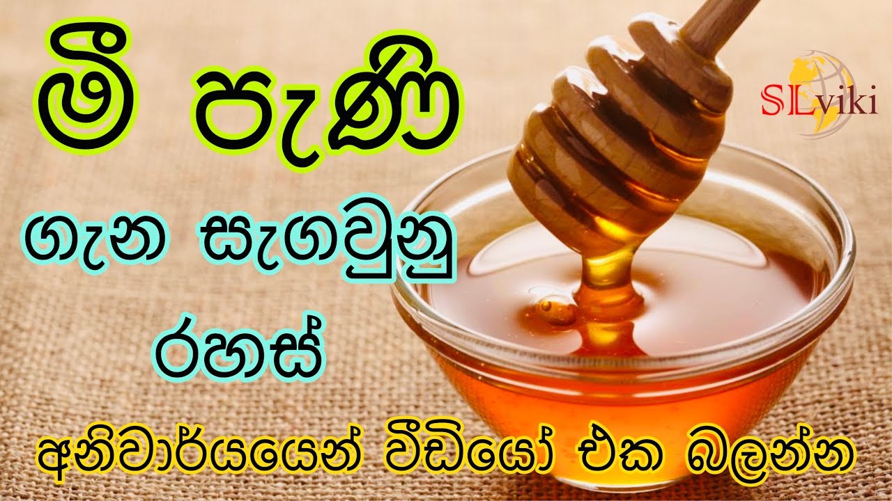 මී පැණි ගැන ඔයා නොදන්නා කතාවක් | Interesting Facts of Honey
