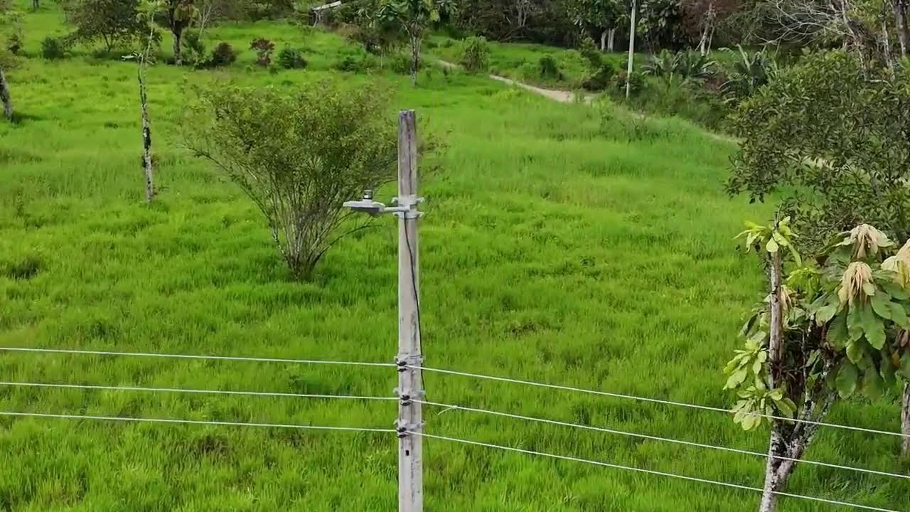 Noticieros de Multicanal (edición estelar) miércoles 21 de enero del 2026