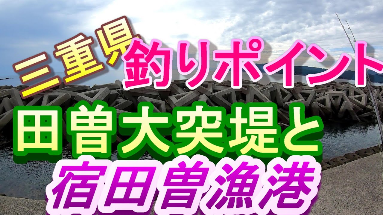 【三重県釣りポイント】南伊勢町田曽浦、田曽大突入堤と宿田曽漁港！＃アオリイカ