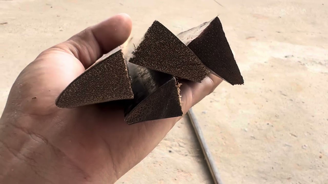 วิธีการเลือกไม้ก้านลานมาทำว่าว