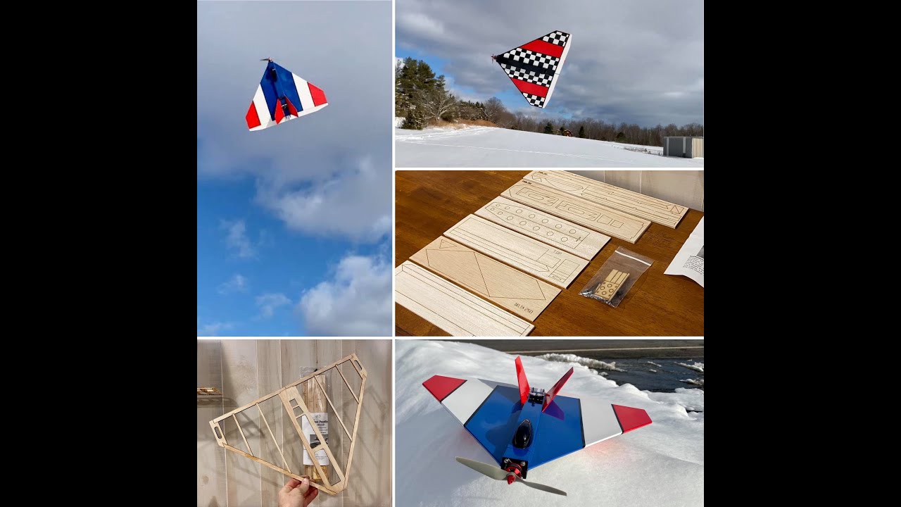 Willy Nillies Delta Sport 250 Picture Build Video