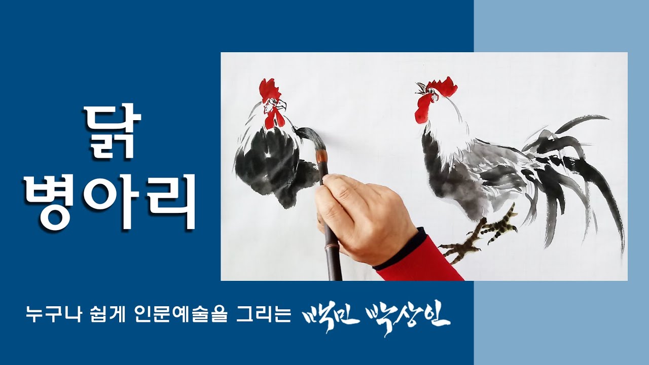 백민 박상인의 문인화교실 제 21회: 닭, 병아리 그리기
