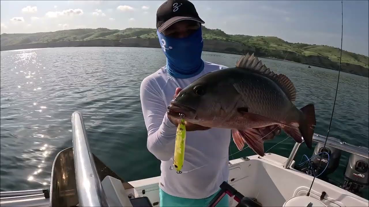 TOP WATER ACTION WITH ZENAQ SNIPE 72XX