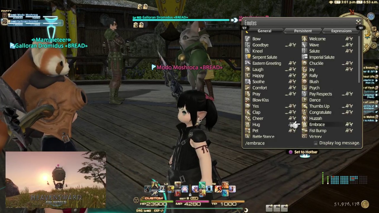 [Final Fantasy XIV] Gaelicat