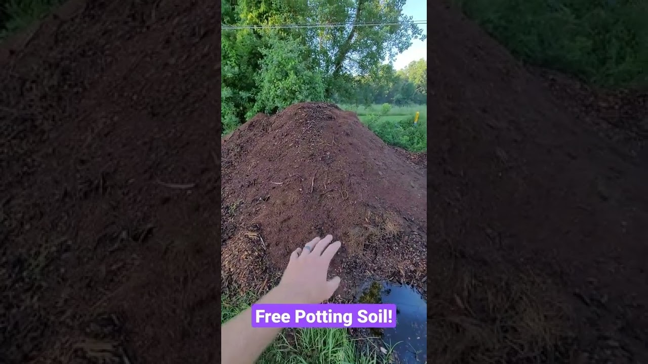 How to Make FREE Potting Soil!