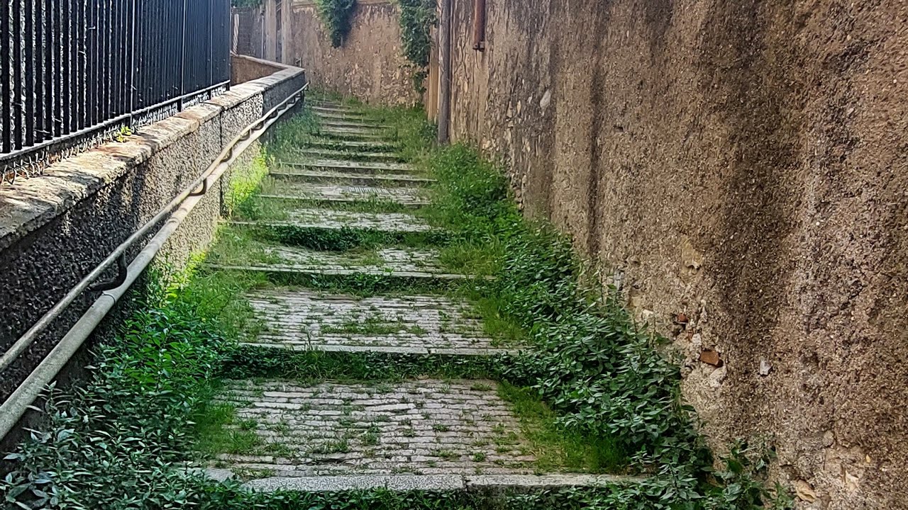 Genova verticale,  da Porto Antico a Forte Sperone (a/r)