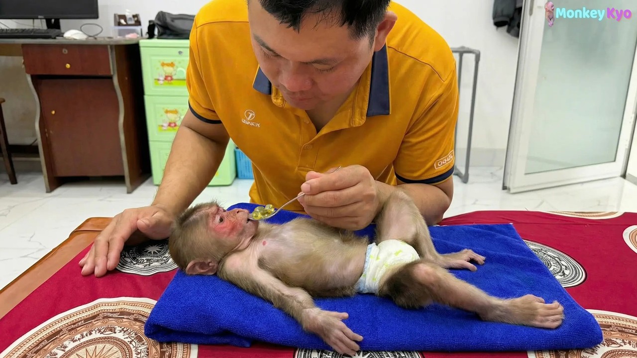 She didn’t give up… Kyo bravely took medicine to heal her eyes ❤️
