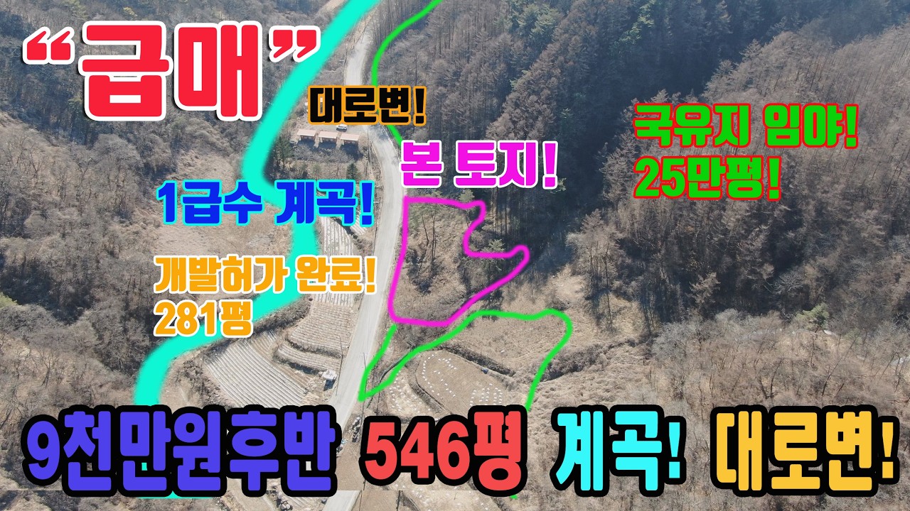 급매 소백산 1급수 계곡 대로변 개발허가 완료 총 1808㎡ 546.9평 군유지 임야 25만평접 9천만원후반대 단양읍내 주변 충북 단양군 단양읍 금곡리 토지 매매 단양부동산 강추