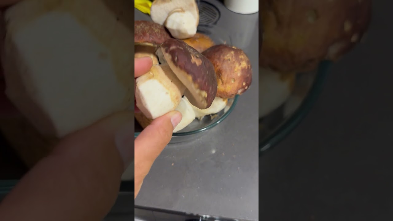 Madre m&iacute;a con los cabezones !!👈🍄#travesiarural #viralvideos #setas #micologia #espora