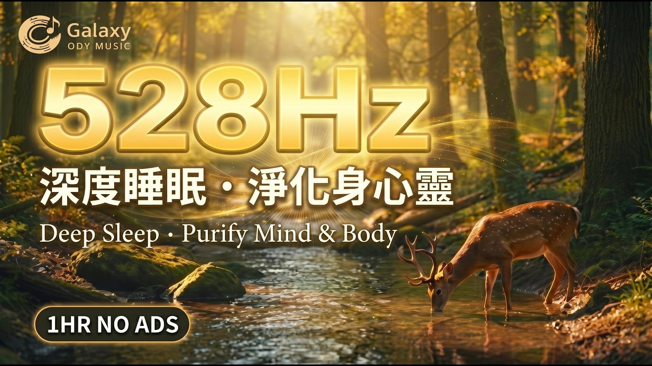 528Hz 深度睡眠與冥想 | 淨化身心靈的森林秘境 | 528Hz Deep Healing & Meditation