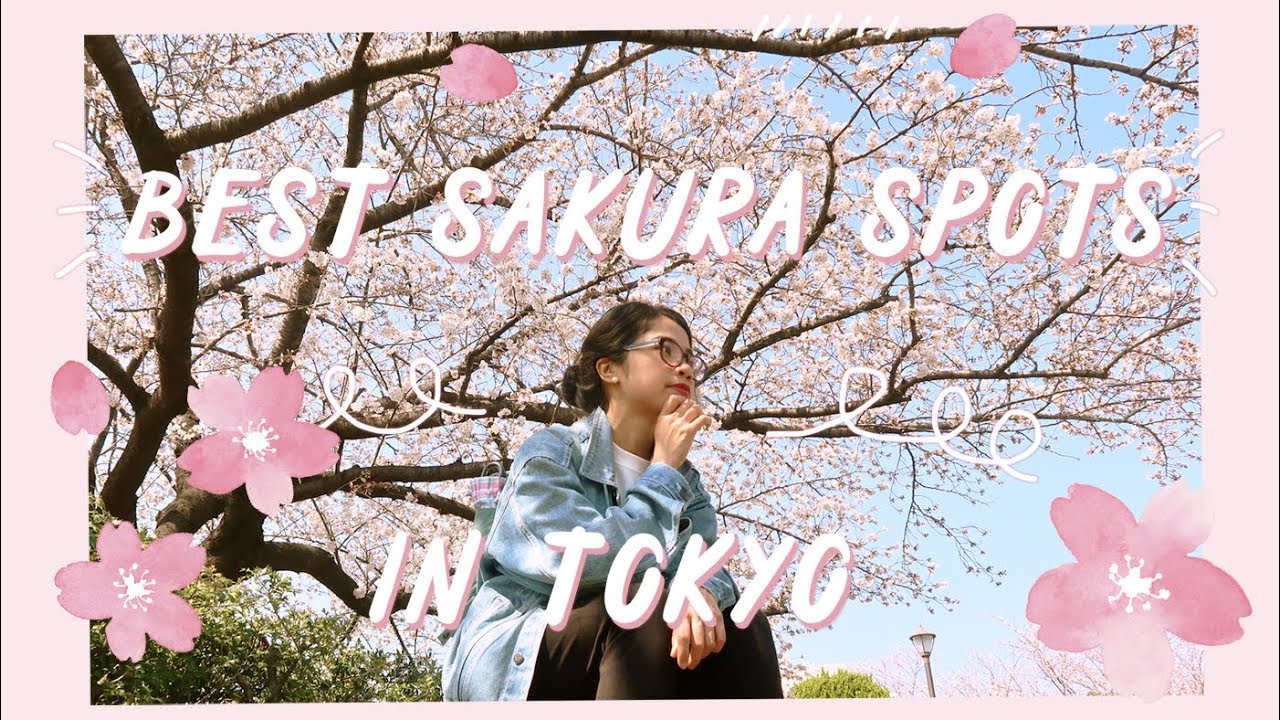 Off The Beaten Path Sakura Spots in Tokyo | Cherry Blossom 2018 | Rainbowholic 🌸