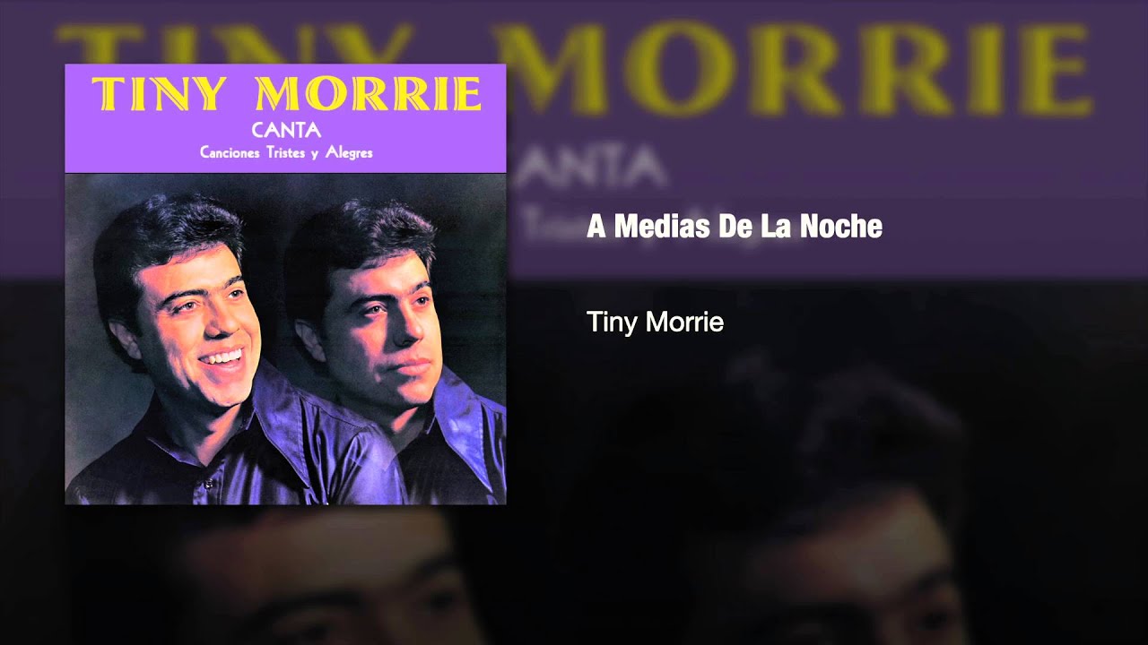 Tiny Morrie - 