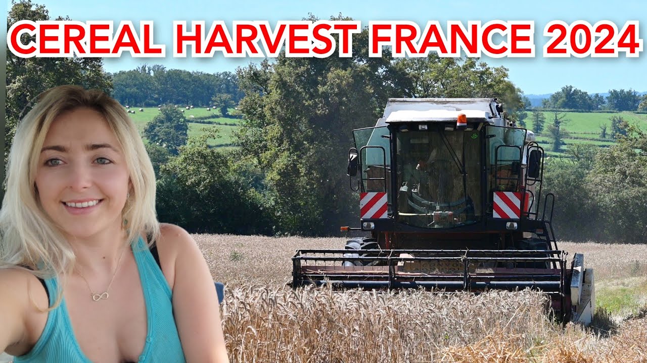 Cereal Harvest 2024 in Rural France