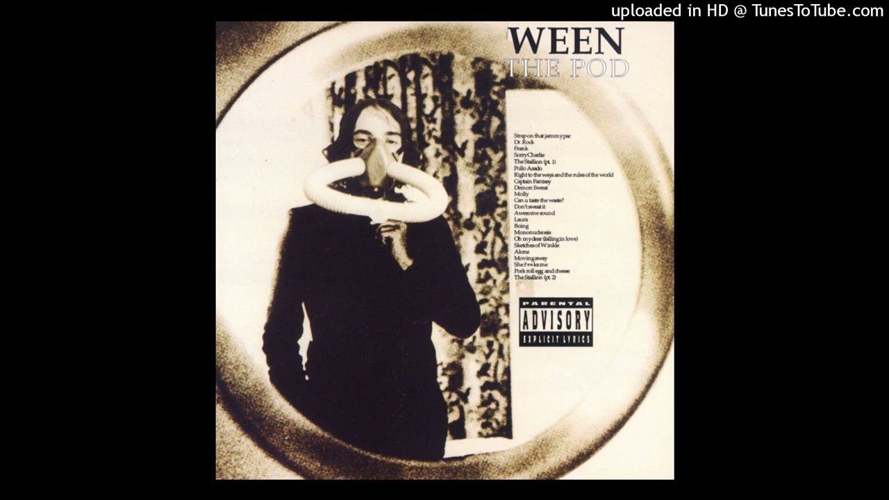 Ween - She Fucks Me (lead vocal at original speed)