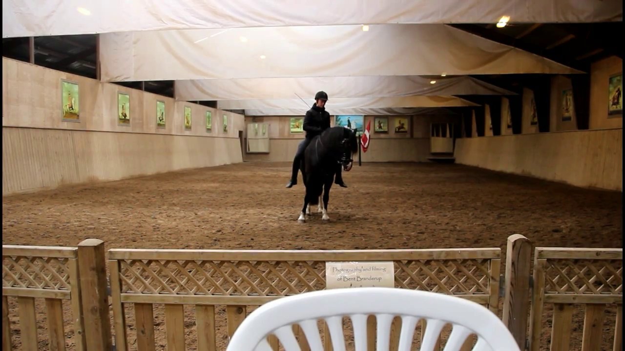 Rebecca & Rebel - Academic art of riding – Squiretest