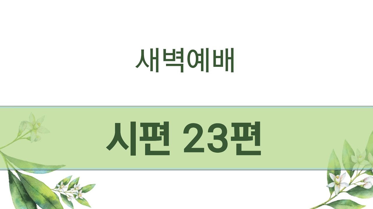 주비전교회 라이브 스트리밍 중