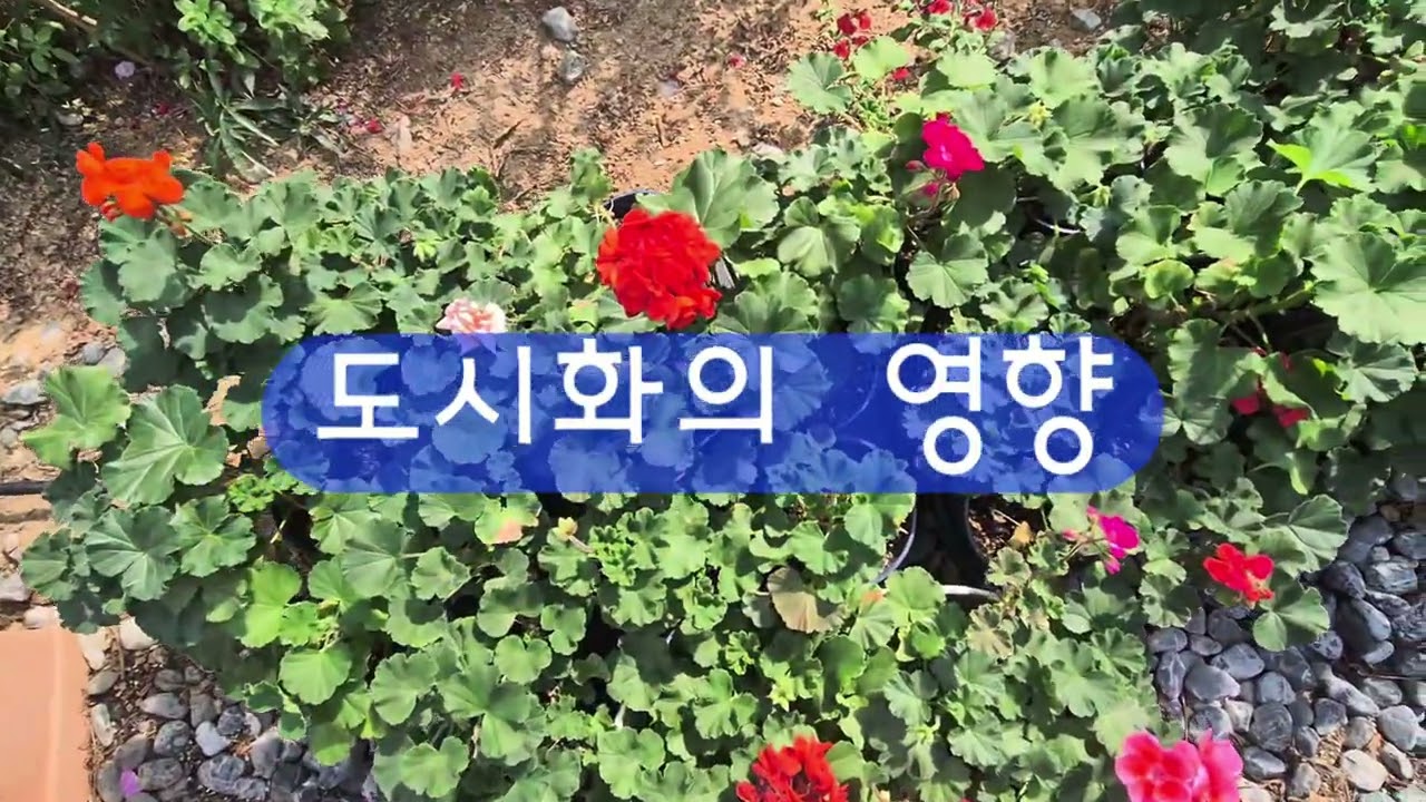#산림과인간의 관계#숲#생태계#산림
