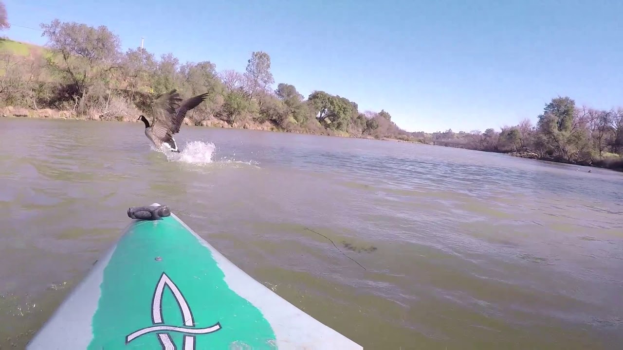 Kayaking Lake Solano 