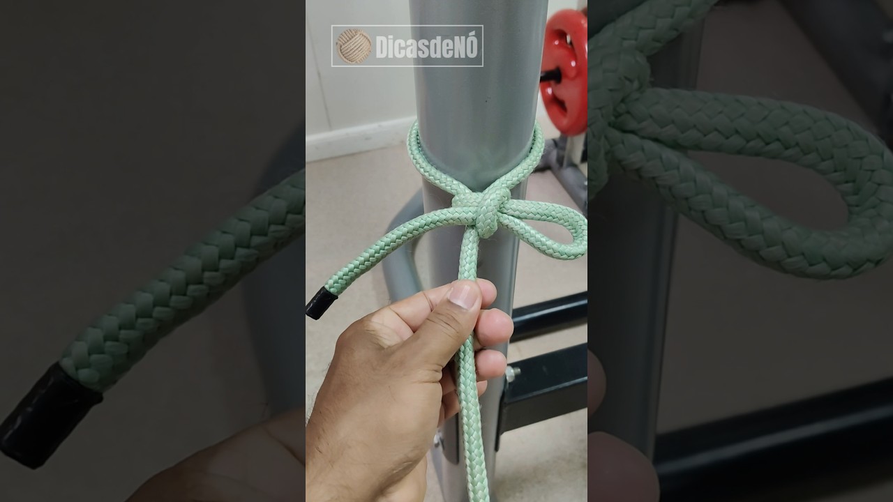 N&Oacute; DE MULA