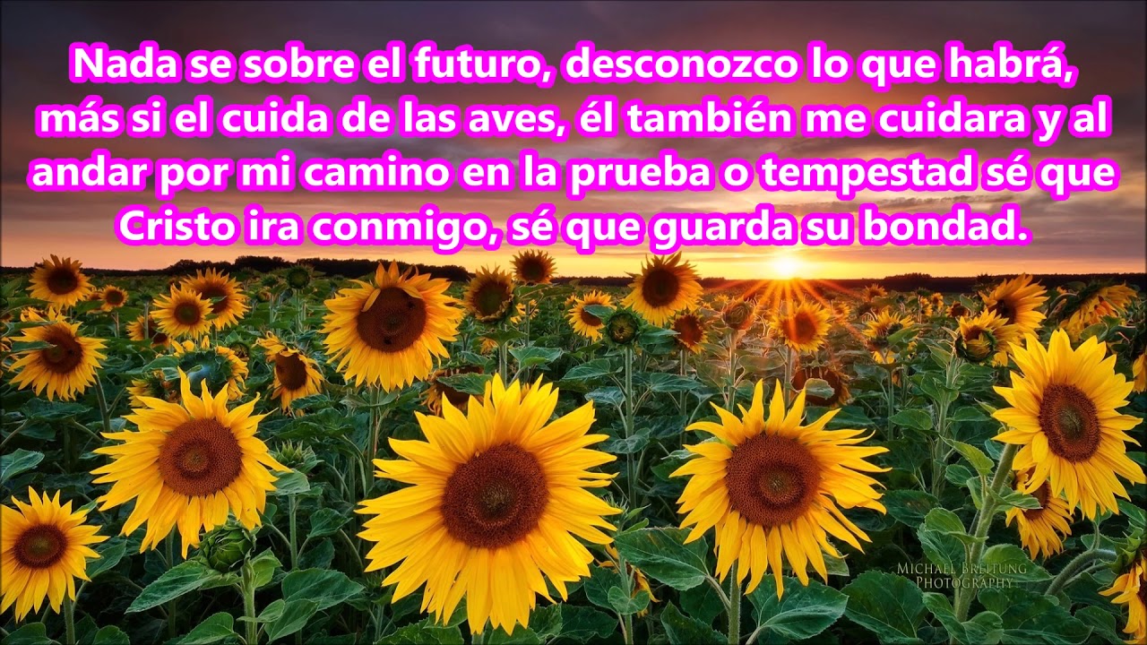 Nada se sobre el futuro (Hermanos de Cuba)
