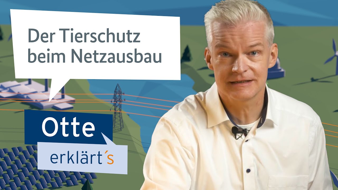 Otte erklärt's - Der Tierschutz beim Netzausbau