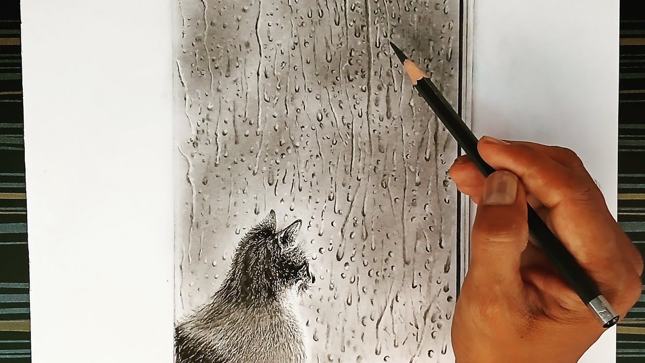 How to draw raindrops on window with cat by pencils .