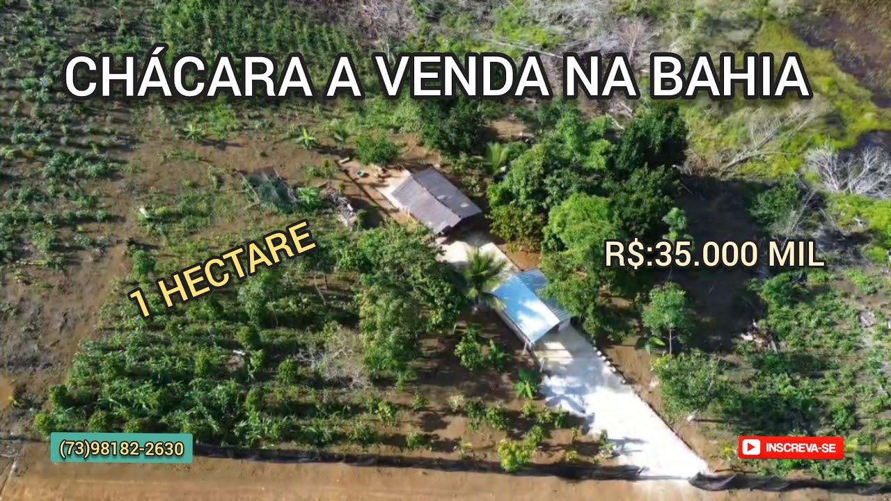 Chácara com frutíferas, água por gravidade, área de 1 hectare por R$: 35.000,00 MIL Camamu - Bahia.