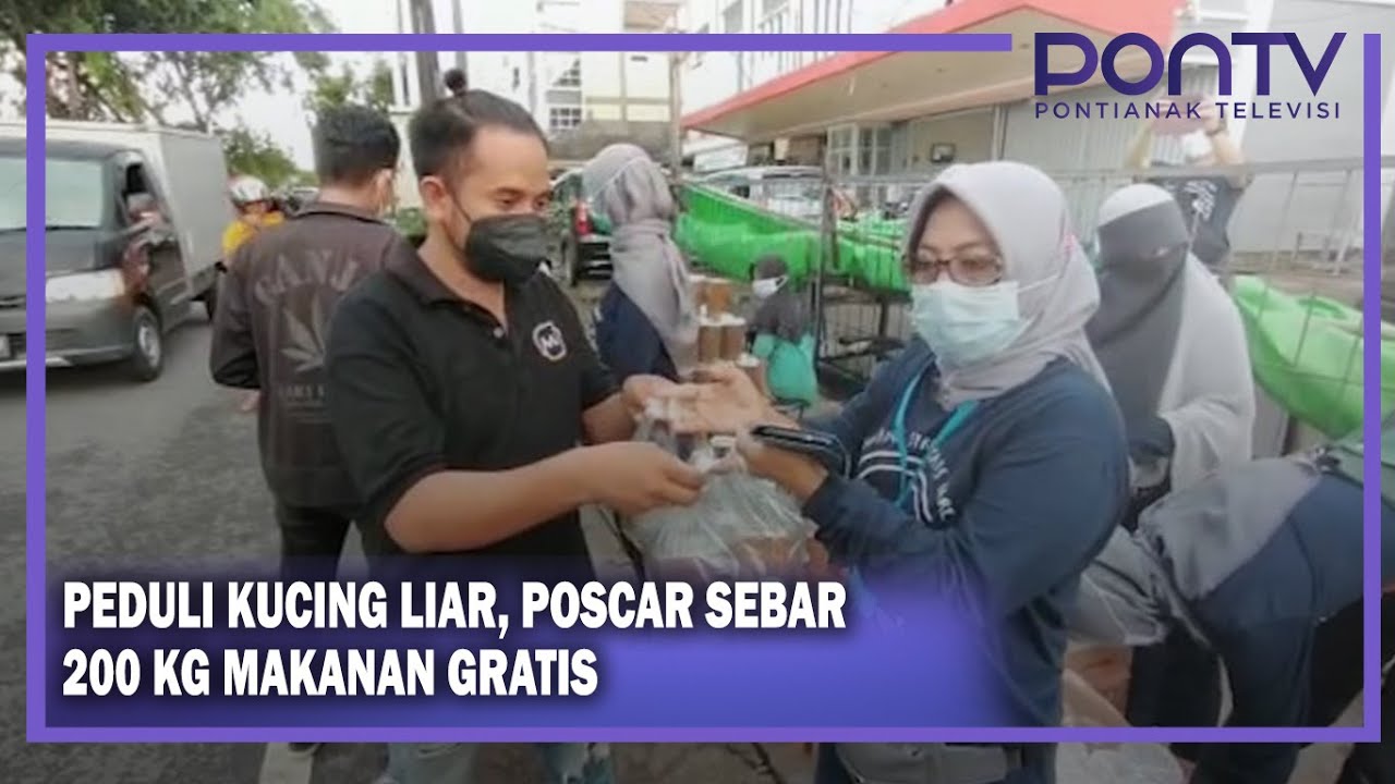 PEDULI KUCING LIAR, POSCAR SEBAR 200 KG MAKANAN GRATIS