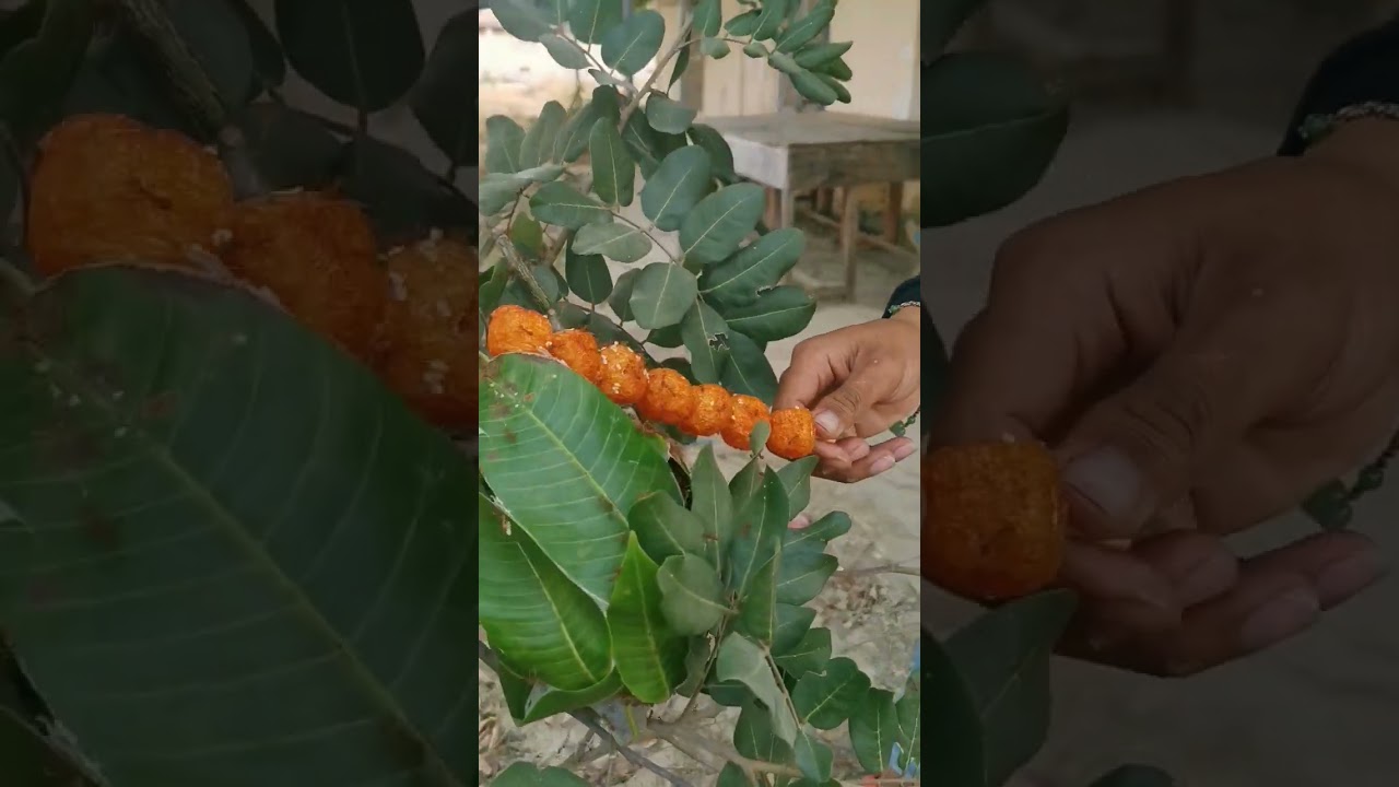 Outdoorfood Wow SIMPLE but USEFUL NEW IDEA UNLOCKED In Forest #survival #camping #Outdoor #viral